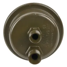 438170061 Bosch Fuel Accumulator