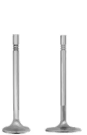 11617-8 Manley 11617 8 Valvetrain