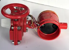 Xd381xg Mech -300 Psi 16a 1/2hp 125/250vac Grooved Butterfly Valve 4 Inch