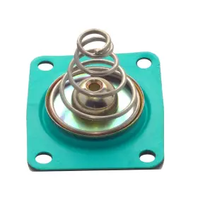 Quick Fuel 099998316408 35-1200qft Bypass Pressure Regulator Diaphragm Kit Gflt Corrosion-res Quick Fuel 099998316408 35-1200qft Bypass Pressure Regulator Diaphragm Kit Gflt Corrosion-res