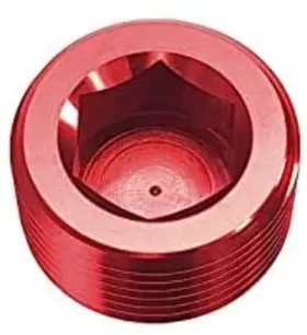 932-01-3 Red Horse Performance 01 1/16 Npt Hex Head Pipe Plug 2/pkg