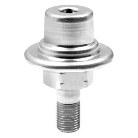 Fpd9 Standard Intermotor Fuel Injection Pressure Damper Fpd9 Standard Intermotor Fuel Injection Pressure Damper