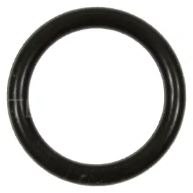 Sk116 Standard Intermotor Fuel Injection Pressure Regulator O-ring