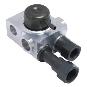 Walker Products 255-1009 Fuel Injection Pressure Regulator