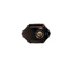 21712 Waterman Inc / Aeromotive Racing Nostalgia Lilft Bertha Fuel Pumps