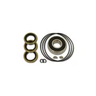 K.s.e. Racing Seal Kit For Tandem Pump Ser #5267 & Lower- KSC1052B New. Price: $76.09.