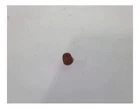 For Paccar Corporate Fitting Aeroquip Str Alm 3 Part # VH1245 New. Price: $9.90.