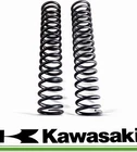 Kyb Stock Kawasaki 21- 24 KX250/450 Fork Springs (like New) Used. Price: $35.00.