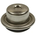 Standard Motor Products FPD56 Fuel Injection Pressure Damper New. Price: $25.84.