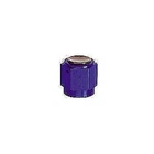 Xrp 992916 Flare Fitting Cap An Female Blue Aluminum Each New. Price: $22.88.