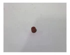 New Genuine Paccar Fitting Aeroquip Str Alm 3 VH1245. Price: $19.50.
