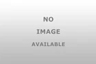 Redhorse Performance 316 04 02 Flared Tube Fitting Pack New. Price: $25.68.
