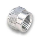 Earls Plumbing 996702ERL Aluminum Npt Weld Fitting New. Price: $23.99.